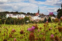 Panorama von Radeberg