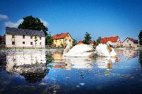 Dorfteich Ullersdorf, öffnet vergrößerte Ansicht